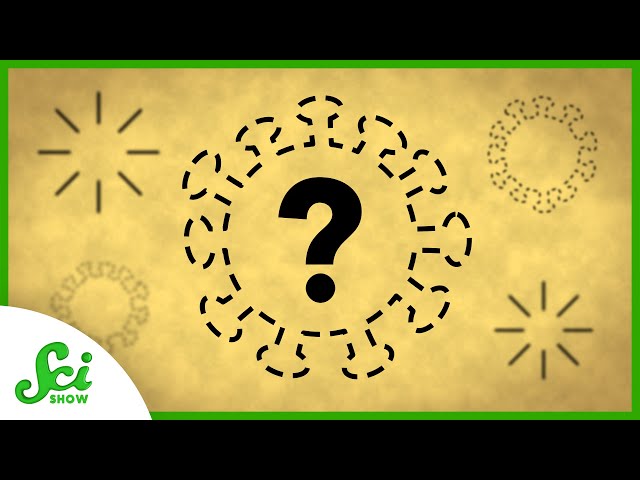 What If All Viruses Vanished?