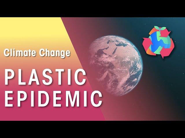 BEYOND PLASTIC  | Strategies to fight Global Pollution | FuseSchool