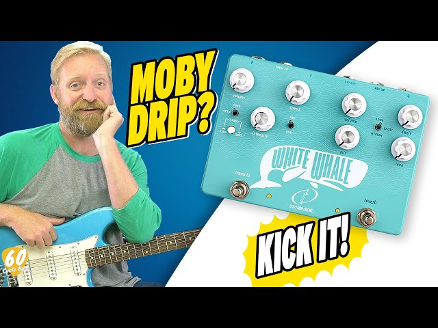 On the Hunt for MOBY DRIP! - Crazy Tube Circuits WHITE WHALE V2 - Reverb & Tremolo - #HoopJumpers