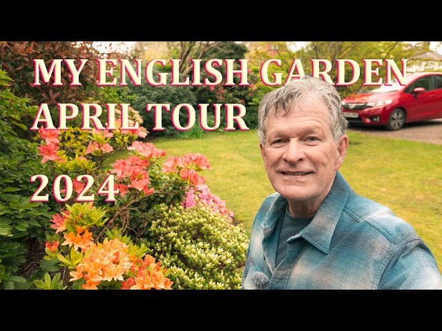 April Front Garden Tour - My English Garden  - 2024
