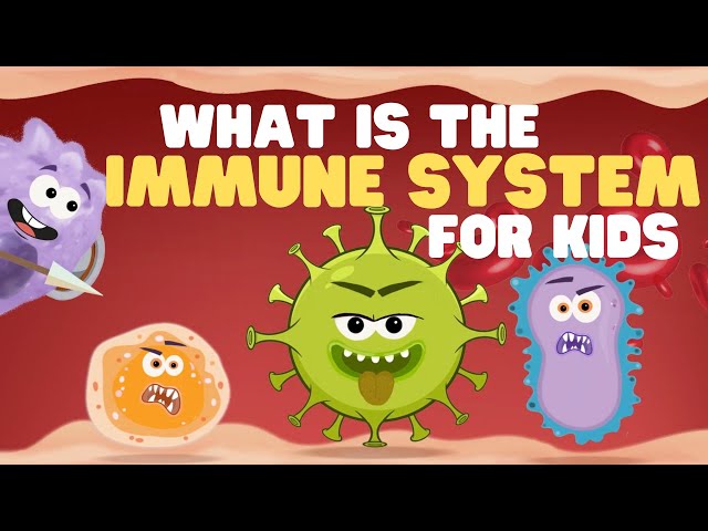 What Is the Immune System for Kids | Learn all about how the body fights off bad germs