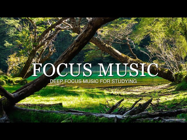 Deep Focus Music To Improve Concentration - 12 Hours of Ambient Study Music to Concentrate #157