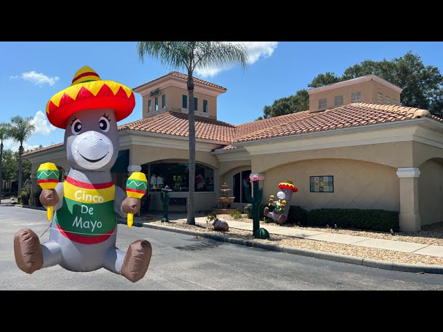 Our Cinco de Mayo Restaurant Review at Salsa Mexican Restaurant in Tavares, Florida