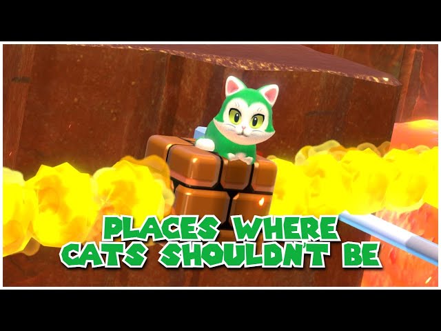 Places Where Cats Shouldn't Be | Bowser's Fury
