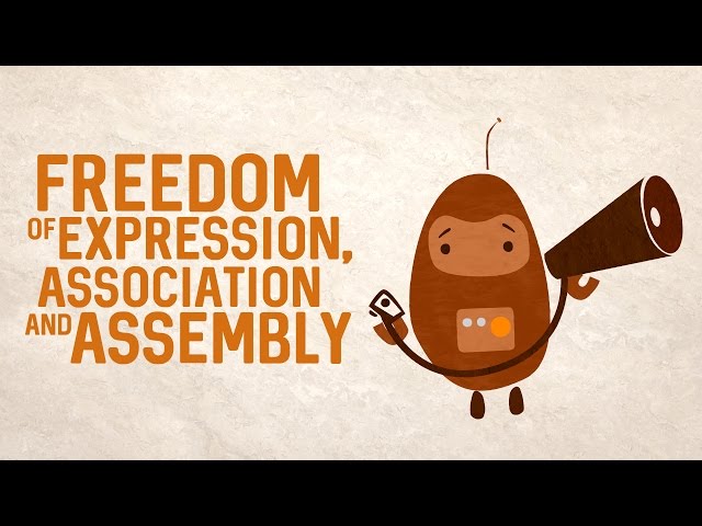 Freedom of expression, association and assembly