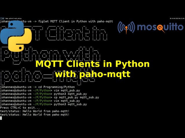 MQTT Clients in Python with the paho-mqtt module