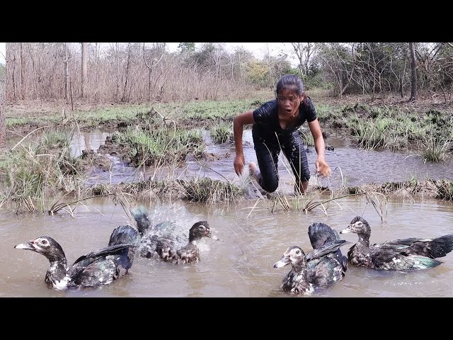 Survival in forest: Found and catch duck for food in jungle - Grilled duck spicy delicious