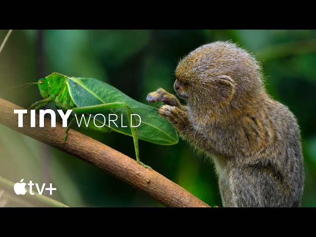 Tiny World — Official Trailer | Apple TV+