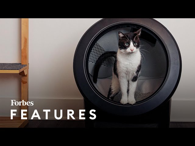 This Multimillion Dollar Brand Built Robots To Scoop Cat Poop So You Don't Have To  | Forbes