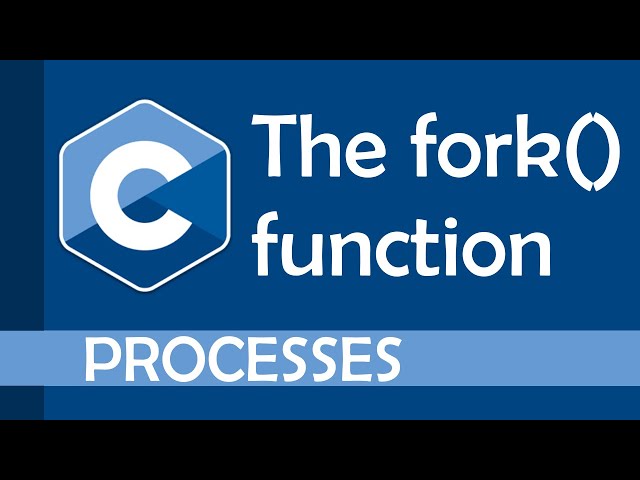 The fork() function in C