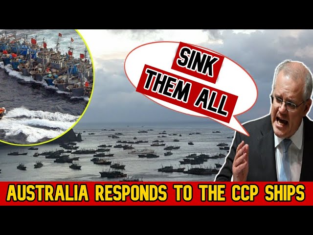 SINK THEM ALL: China’s aggressive fishing fleet heading for Australia amid trade war.