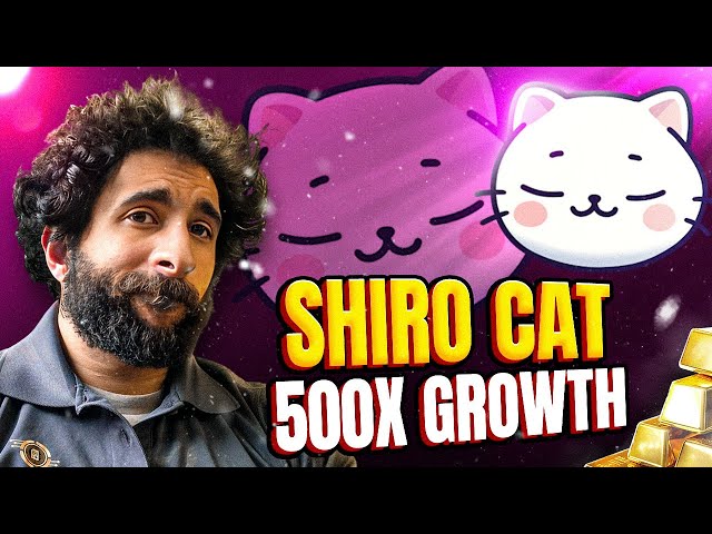 CUTEST COIN YET! 🔥 Shiro Cat 🔥 WHERE HODLING MEETS MEME CATS!