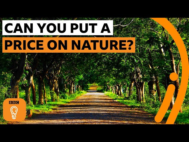 Can you put a price on nature? | The Royal Society