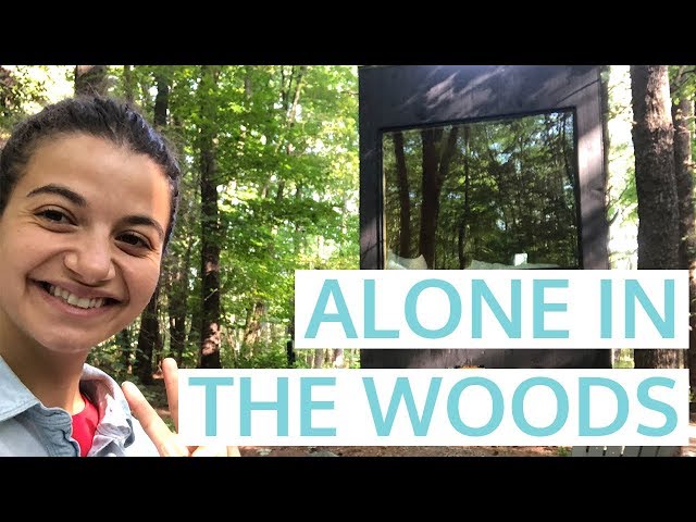 Embracing Solitude: I Spent 24 Hours Alone in the Woods