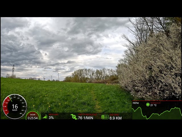 30 minute MTB Indoor Cycling Fat Burning Workout Garmin Cadence & Speed 4K Video