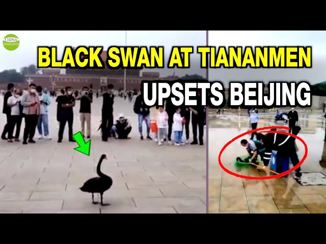Beijing police disperse crowds from viewing the black swan/More abnormal events in China recently