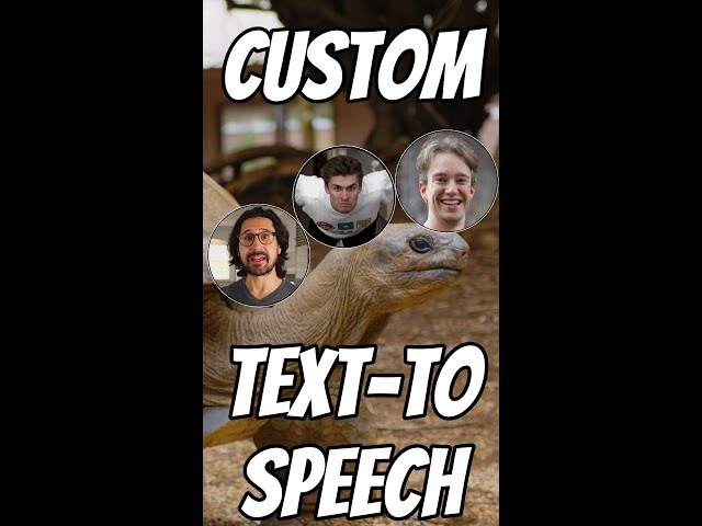 Custom Text-To-Speech voices!