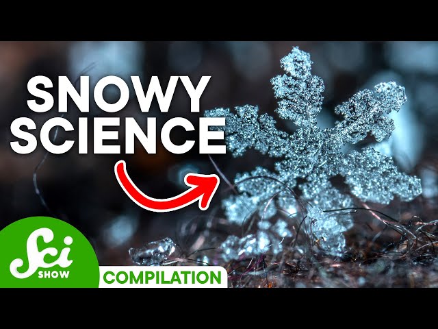 6 Surprising Secrets About Snow | SciShow Compilation