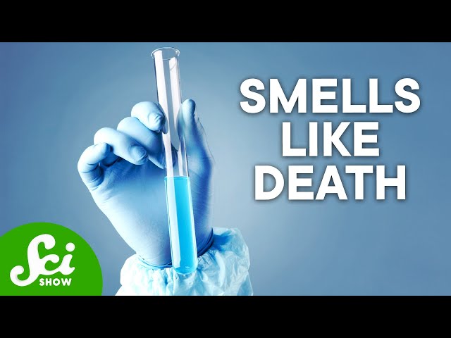 The 5 Most Dangerous Chemicals on Earth