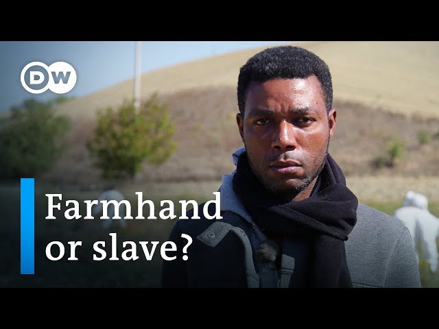 Slaves in Italy? | DW Documentary