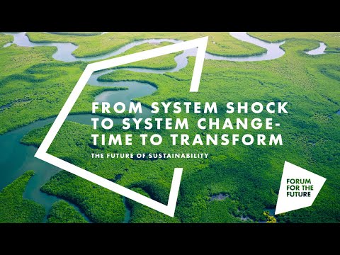 Future of Sustainability 2020