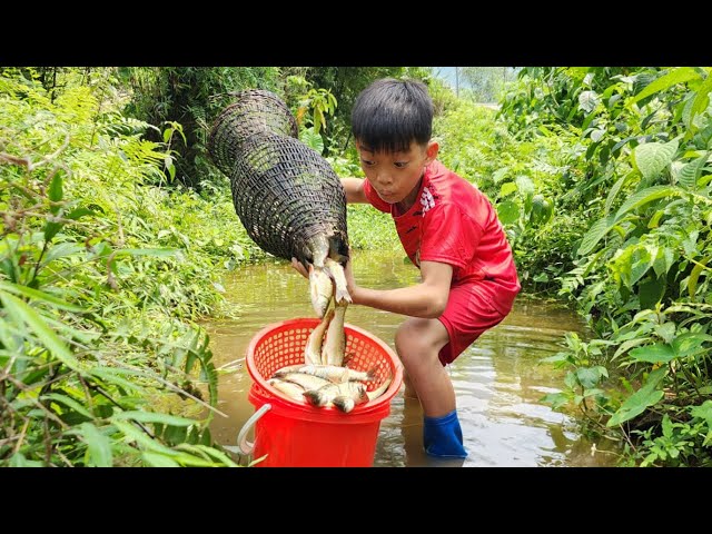 The story is about a wandering boy named Bac and his journey to catch a school of stream fish.