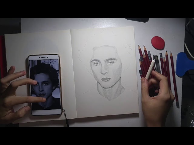 Drawing Timothee Chalamet, The Rising Star | bee2wolf