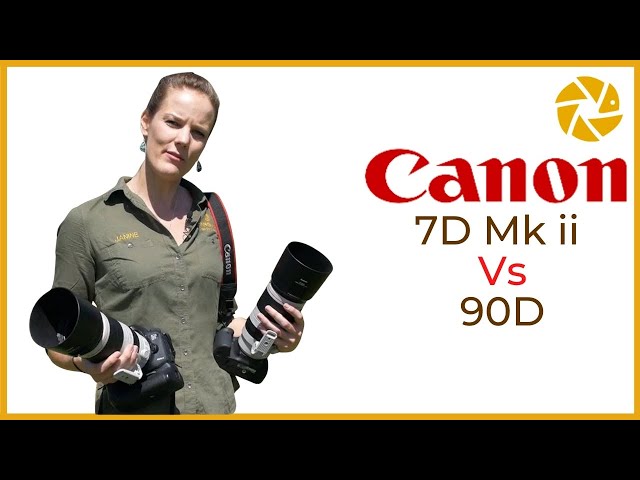 Canon 90D vs 7D MK ii for WILDLIFE PHOTOGRAPHY.