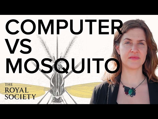Can supercomputers help stop mosquito diseases? | The Royal Society