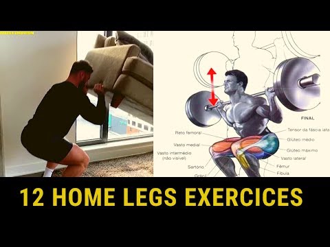 leg workout at home / musculation jambes sans matériel