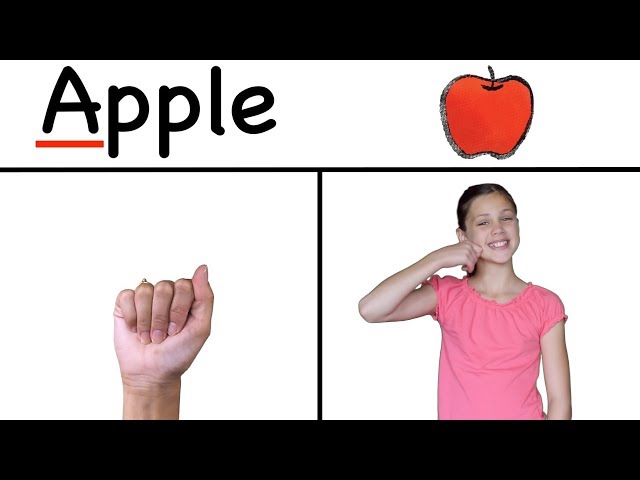 ASL ABC Song | NEW with ASL Letters and Signs