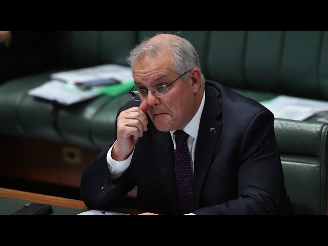 Scott Morrison ‘should not have been PM’ if his mental health struggles are ‘true’