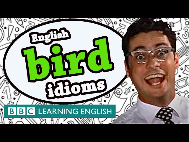 Bird idioms - Learn English idioms with The Teacher