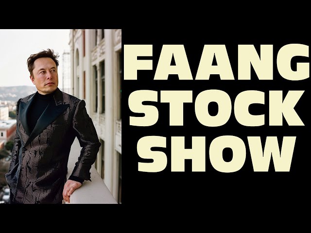 Google SOARS! | META Falls | Tesla Comeback | Apple & Amazon On Deck | FAANG STOCK SHOW