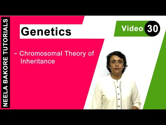 Genetics - Principles of Inheritance & Variations | NEET | Chromosomal Theory of Inheritance |