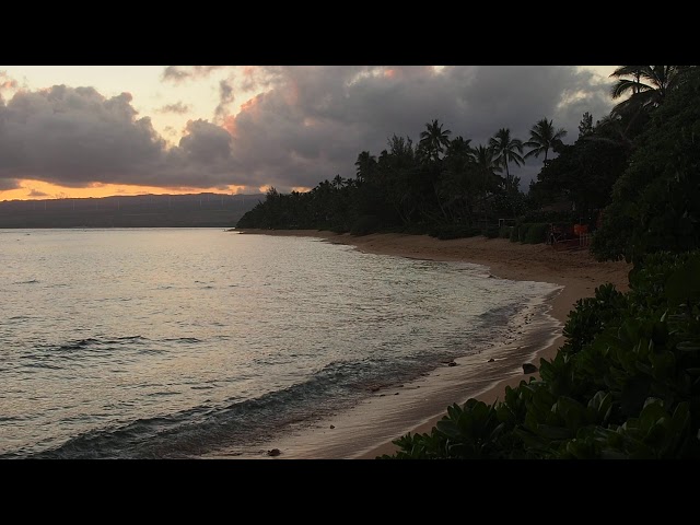North Shore Hawaii Beach Sounds & Relaxing Nature Video - Sleep/Relax/Study/Meditate - HD (Oahu) 2/2