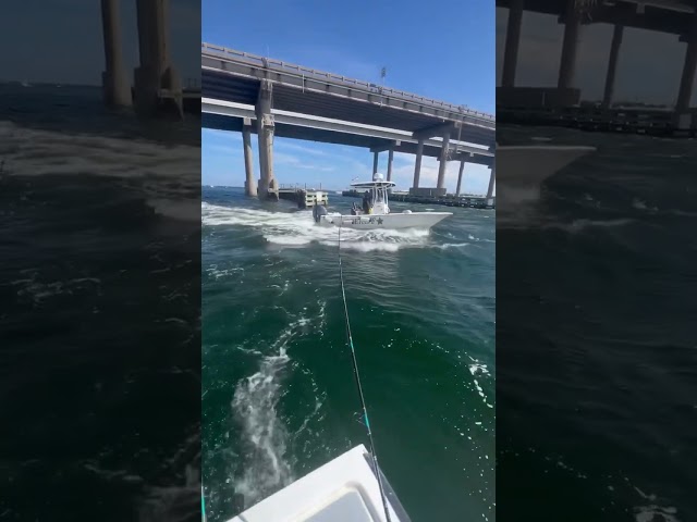 Who’s at fault? Lines snagged by sheriffs boat outside of channel #boating #creditcardcaptain