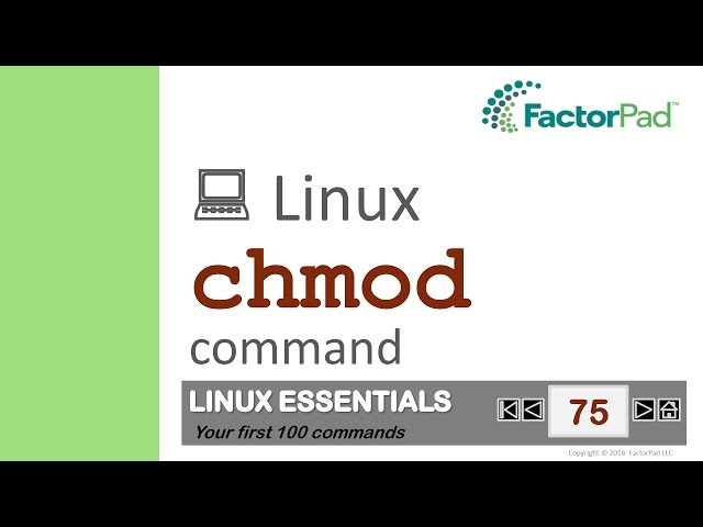 Linux chmod command summary with examples