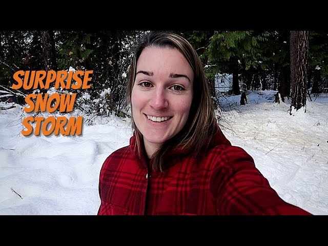 We Weren't Prepared For This | Living Off Grid In The Winter