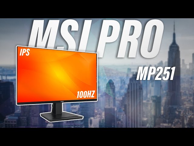 A great screen for everyday use! | MSI Pro MP251 Review