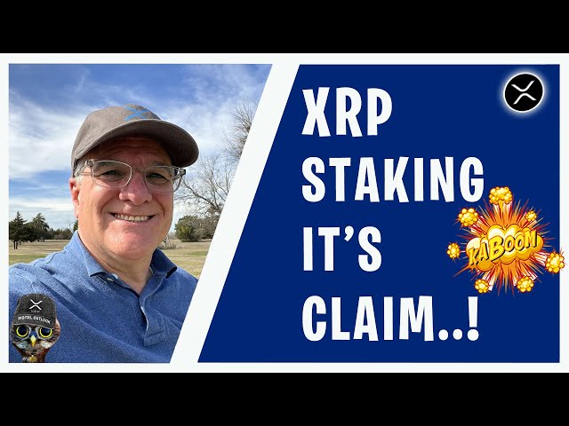XRP David Schwartz Debunks "We Don't Need XRP"!