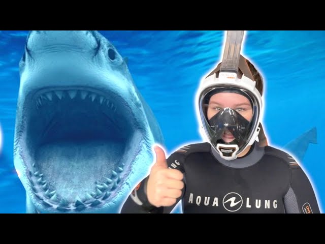 Ruby and Bonnie Dive with Sharks and other useful stories for kids | Compilation video
