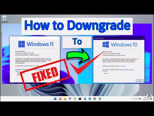 How to: Downgrade Windows 11 to Windows 10 (Without Losing Data) | 2023✓