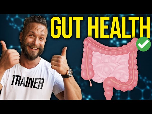 How To Improve Your Gut Health: Foods To Eat and The Benefits of Probiotics