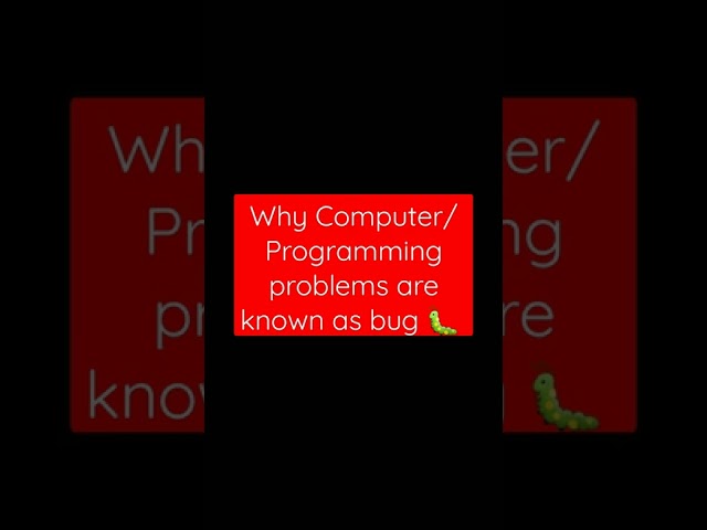 Why Computer / Programming Problems are known as bug?