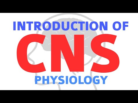 CNS PHYSIOLOGY - NEUROPHYSIOLOGY