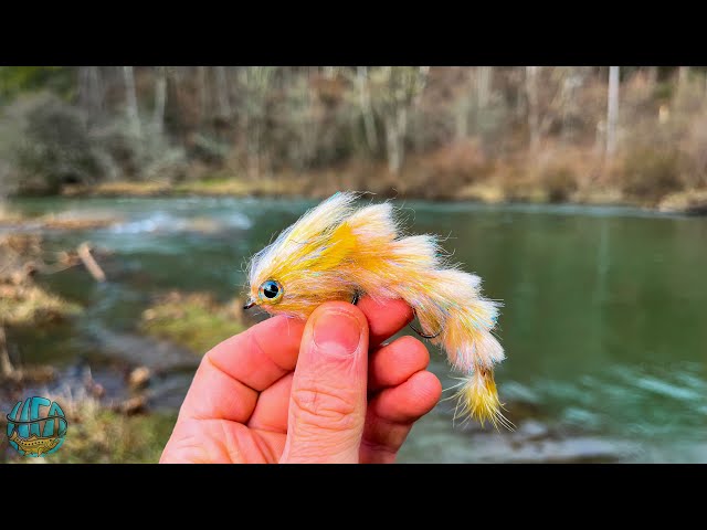 Streamer Fishing for Brown Trout! (Pennsylvania Fly Fishing)