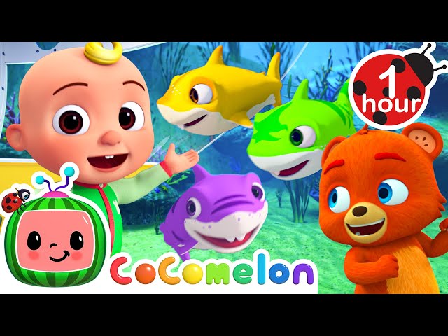Baby Shark - Rainbow Version! Fantasy Animals | CoComelon - Animal Time | Nursery Rhymes for Babies