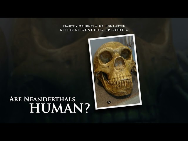 AUDIO ONLY: Are Neanderthals Human with Dr. Rob Carter (Episode 4 of 4)