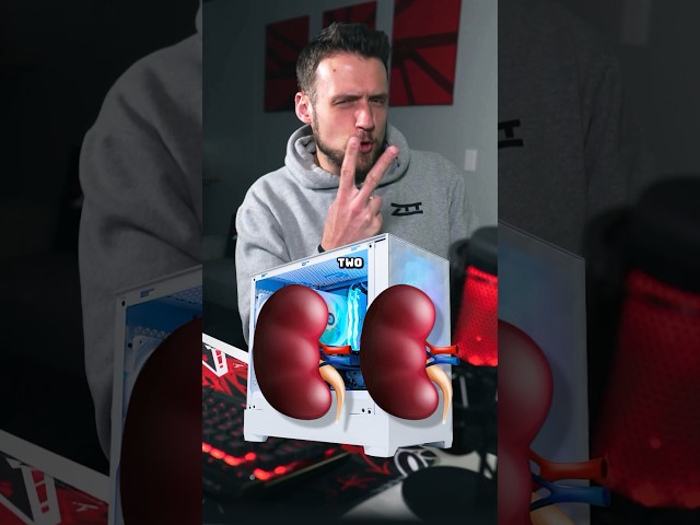 Do PC Gamers Actually Need BOTH Kidneys?
